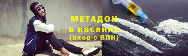 прущие грибы Покровск