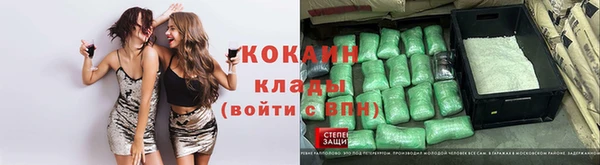 прущие грибы Покровск