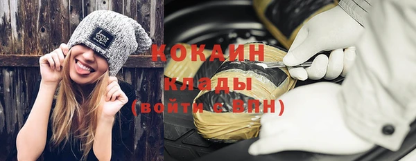 прущие грибы Покровск