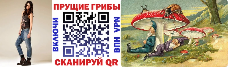 Галлюциногенные грибы мицелий  Шахунья 